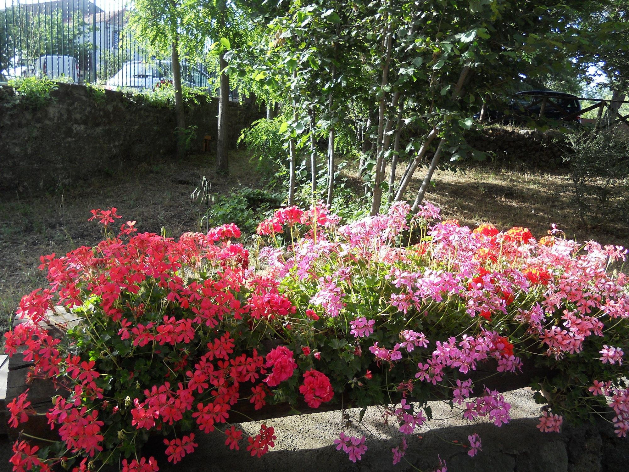 L'Infinito Agriturismo - Rooms & Breakfast Sant'Alfio Exterior photo